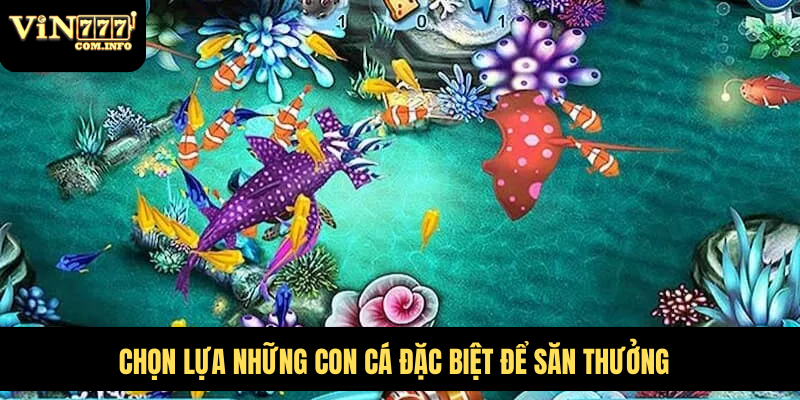 Cách Chơi Bắn Cá Tiểu Tiên Cá Và Chiến Lược Để Thắng Lớn 6 Chọn lựa những con cá đặc biệt để săn thưởng