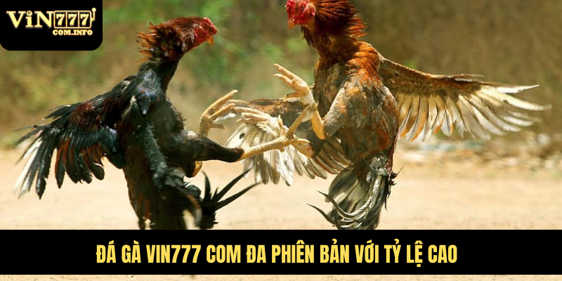 Hướng Dẫn Chơi Đá Gà VIN777 com Chi Tiết Với Quy Tắc Chuẩn 5 Đá gà VIN777 com đa phiên bản với tỷ lệ cao