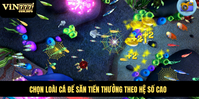 Hướng Dẫn Chơi Bắn Cá VIN777 Hiệu Quả Cho Người Mới Bắt Đầu 6 Chọn loài cá để săn tiền thưởng theo hệ số cao